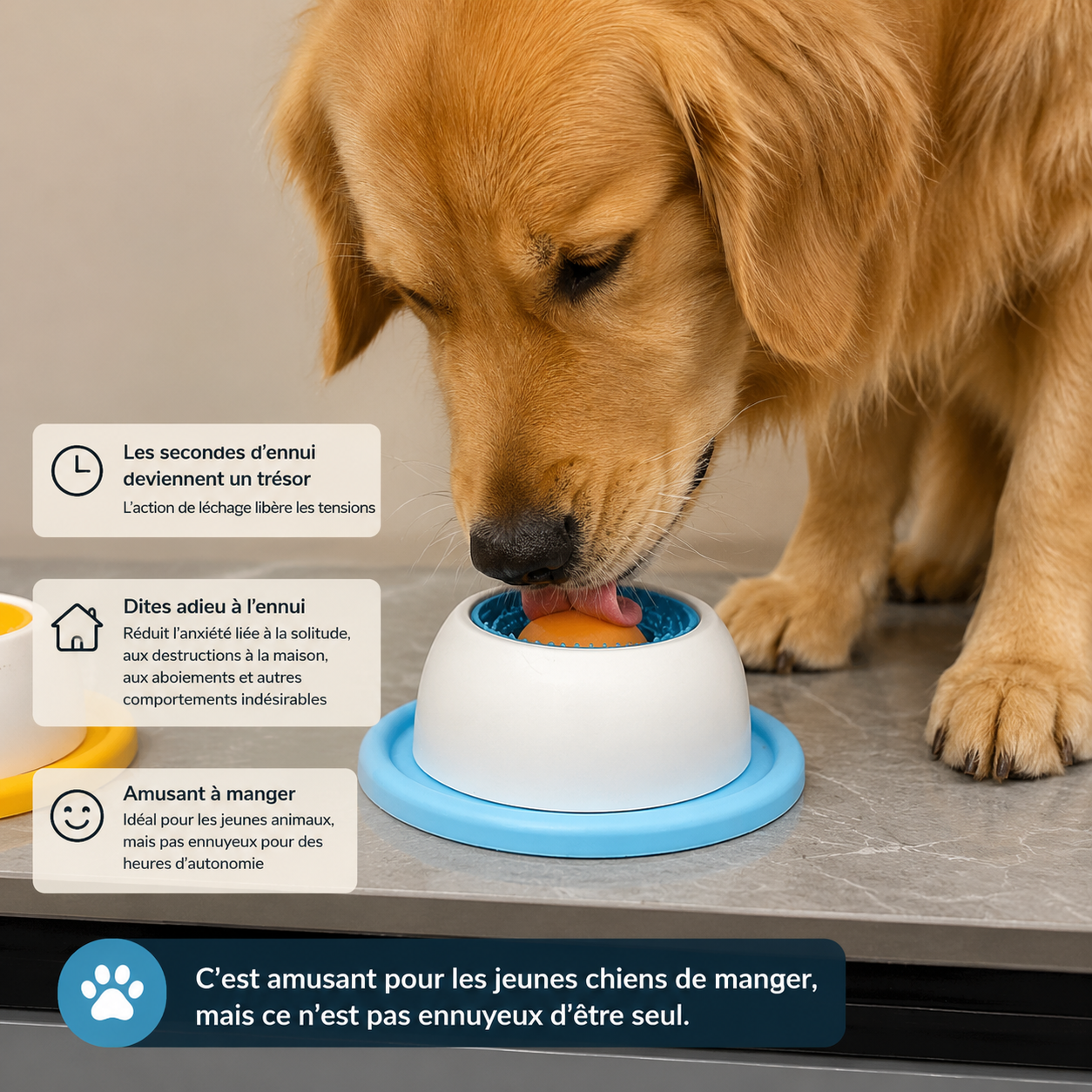 Jouet à Lécher Chien Chat - Distributeur Alimentation Lente & Enrichissement Interactif