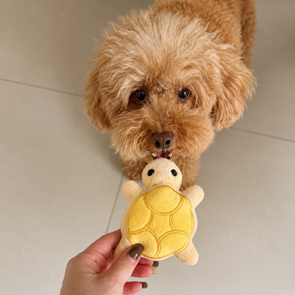 Jouet Mini Tortue en Peluche pour Chiot - Mâcheur Interactif, Soulagement Dentition, Résistant aux Morsures