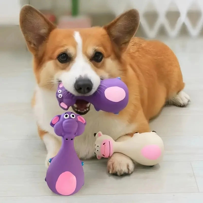 Jouets à Mâcher en Caoutchouc Souple pour Chien - 4 Styles, Jeux de Lancer Interactifs, Petite & Moyenne Taille