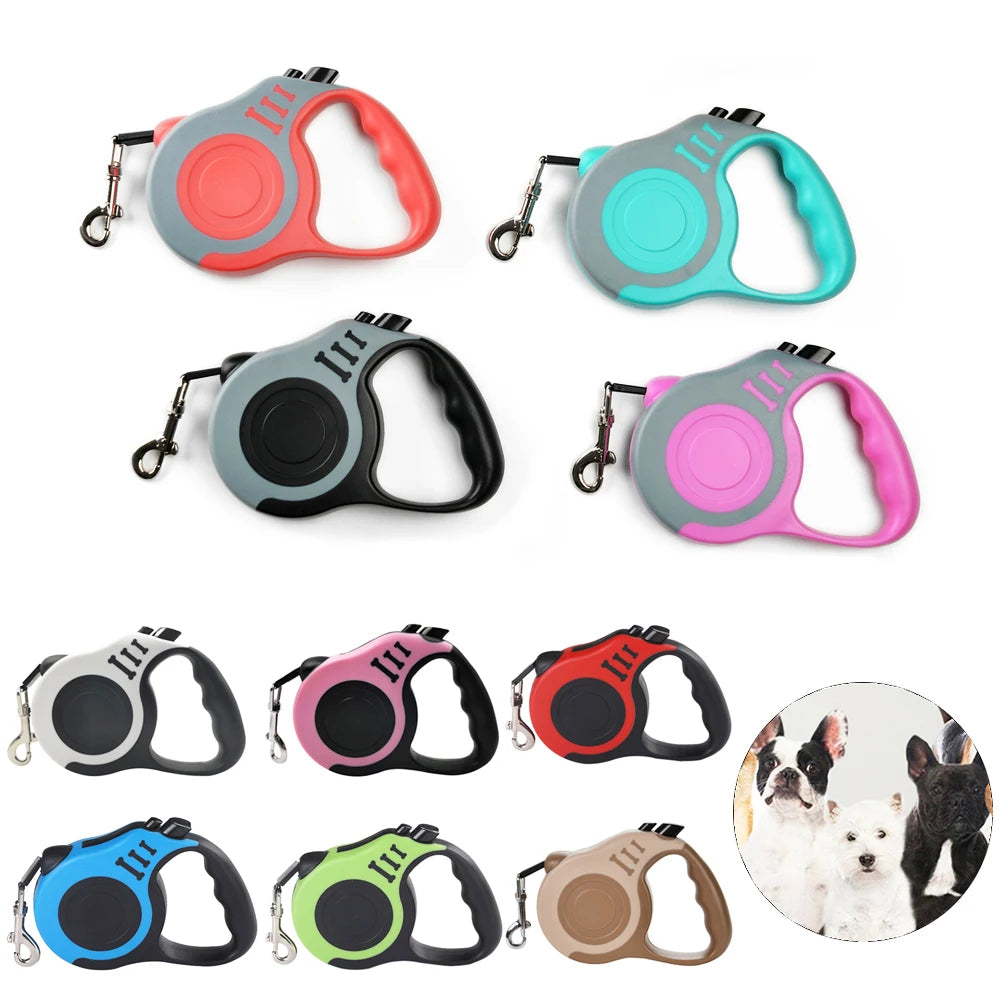 Laisse Rétractable Chien Chat Nylon - 3m/5m Solide Chiots Petits Moyens Grands Chiens