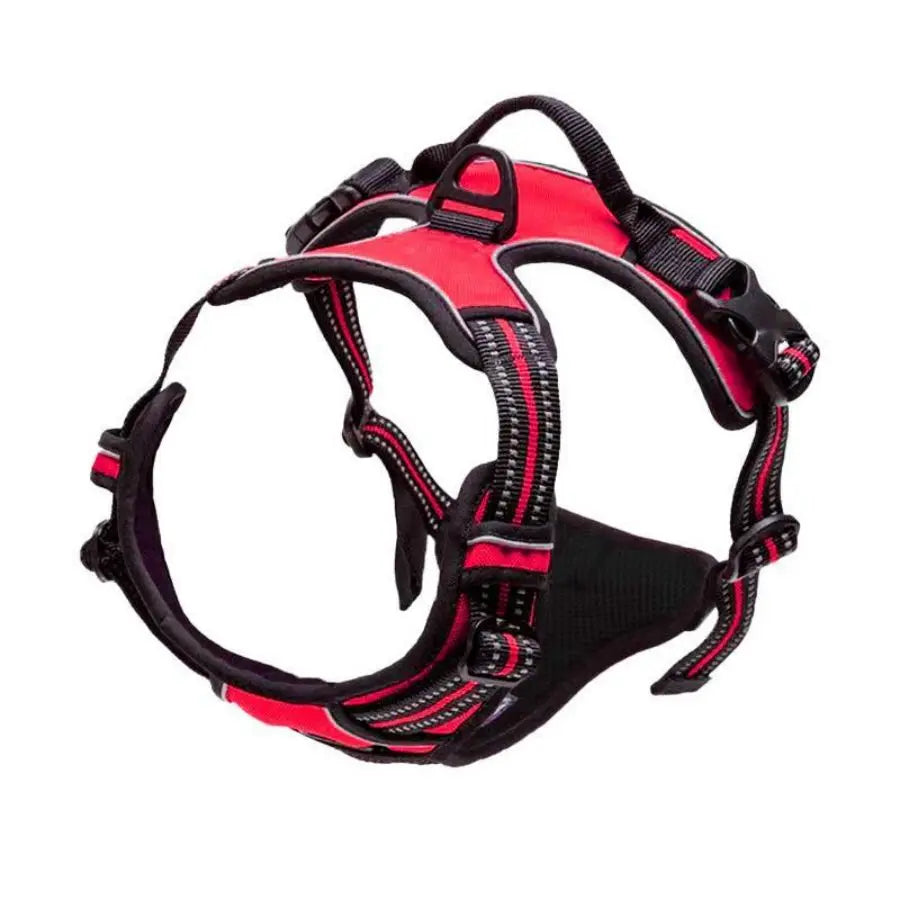 Harnais chien anti-traction - vue détail clip frontal et anneau dorsal - Pelorie