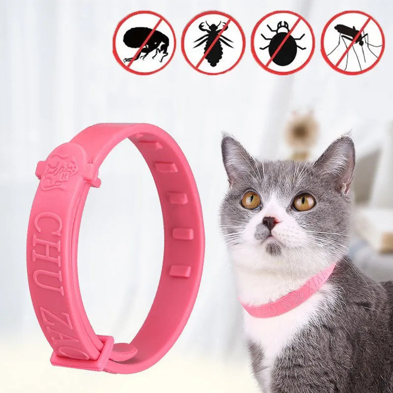 Collier Anti-Parasites Chien Chat — Protection Puces, Tiques & Moustiques Longue Durée