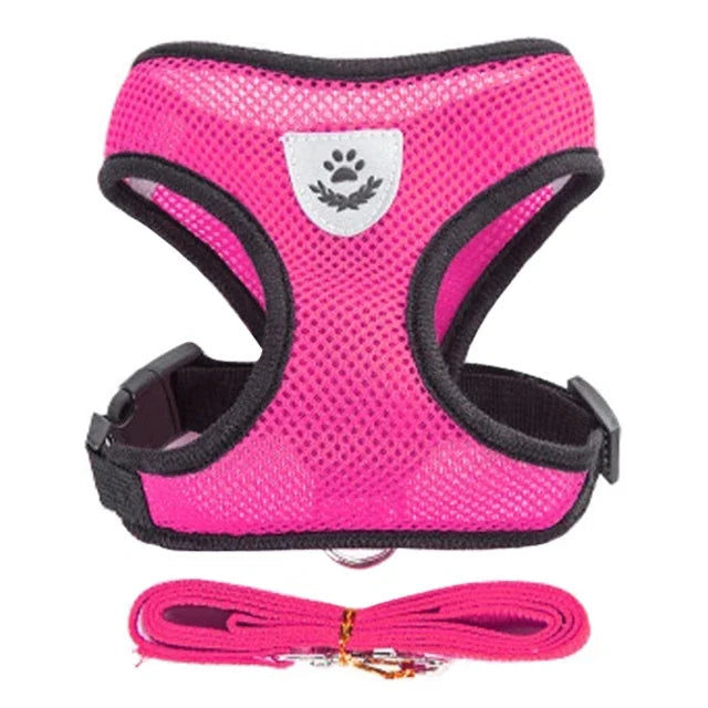 Harnais Gilet & Laisse Chien Chat Maille Polyester – Réglable Toutes Tailles