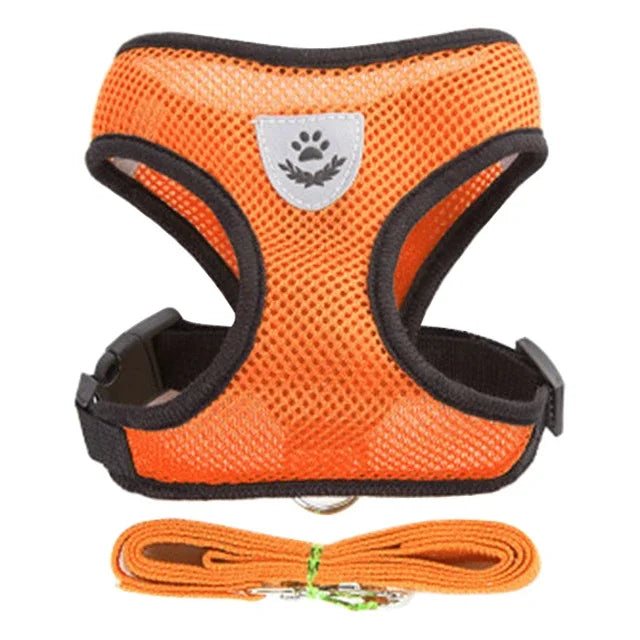 Harnais gilet laisse chien chat maille polyester bleu - confortable toutes races - Pelorie