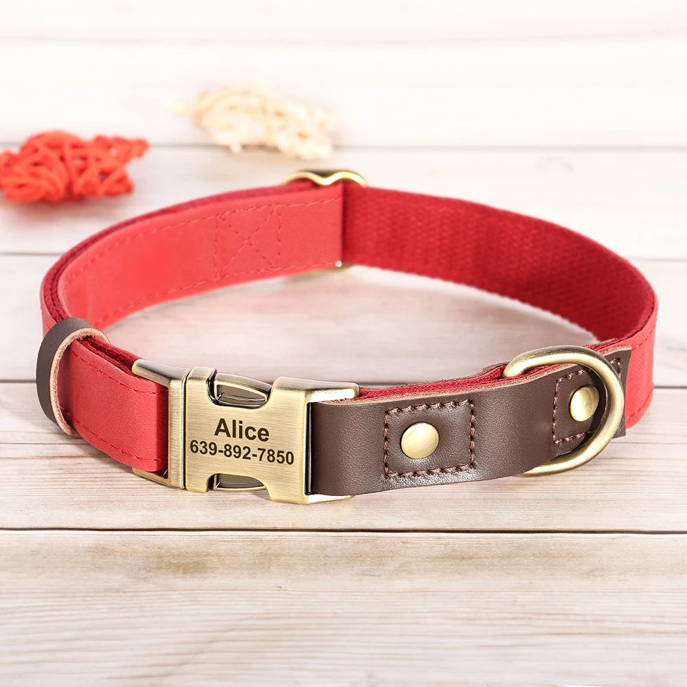 Collier Chien Personnalisable Gravé en Cuir Vegan - Réglable S/M/L Toutes Races