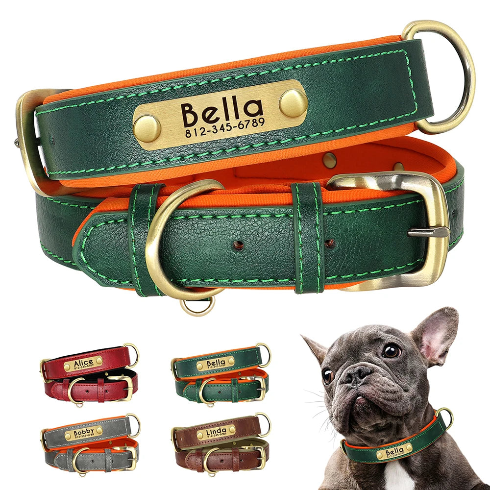 Collier Chien Cuir Végan Rembourré - Doux, Réglable & Toutes Tailles