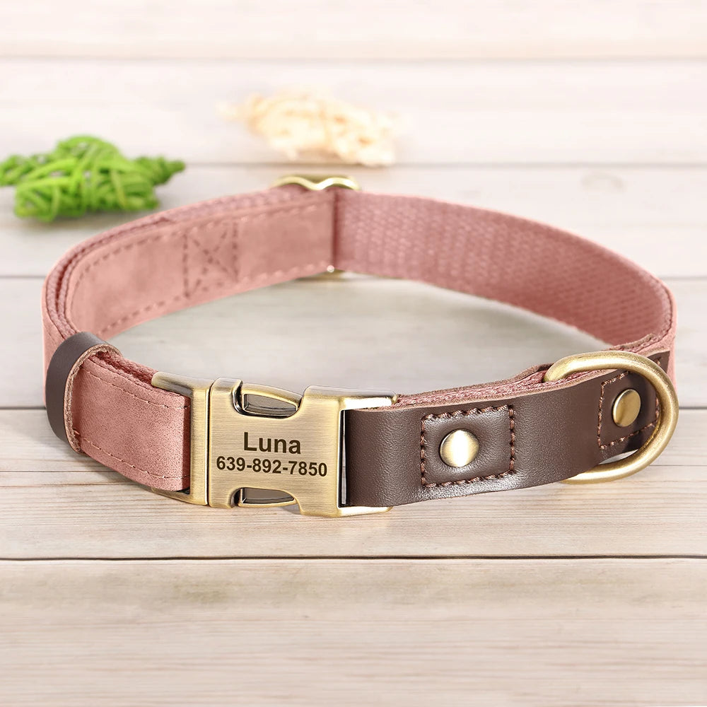 Collier Chien Personnalisable Gravé en Cuir Vegan - Réglable S/M/L Toutes Races