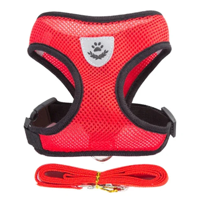 Harnais gilet laisse chien chat maille polyester noir - toutes tailles - Pelorie