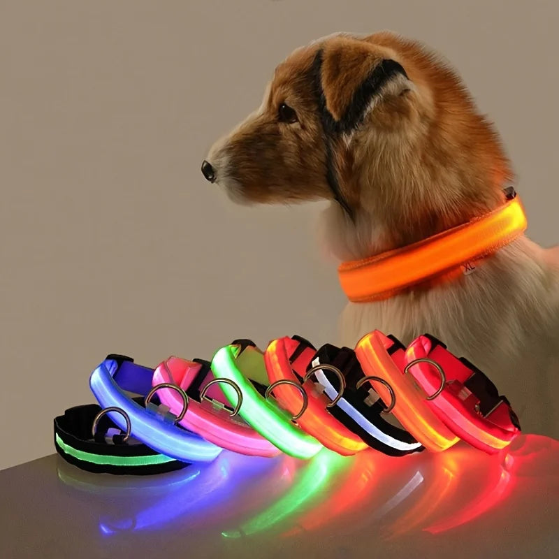 Collier & Laisse Chien LED Lumineux Nylon - Clignotant & Phosphorescent Toutes Tailles