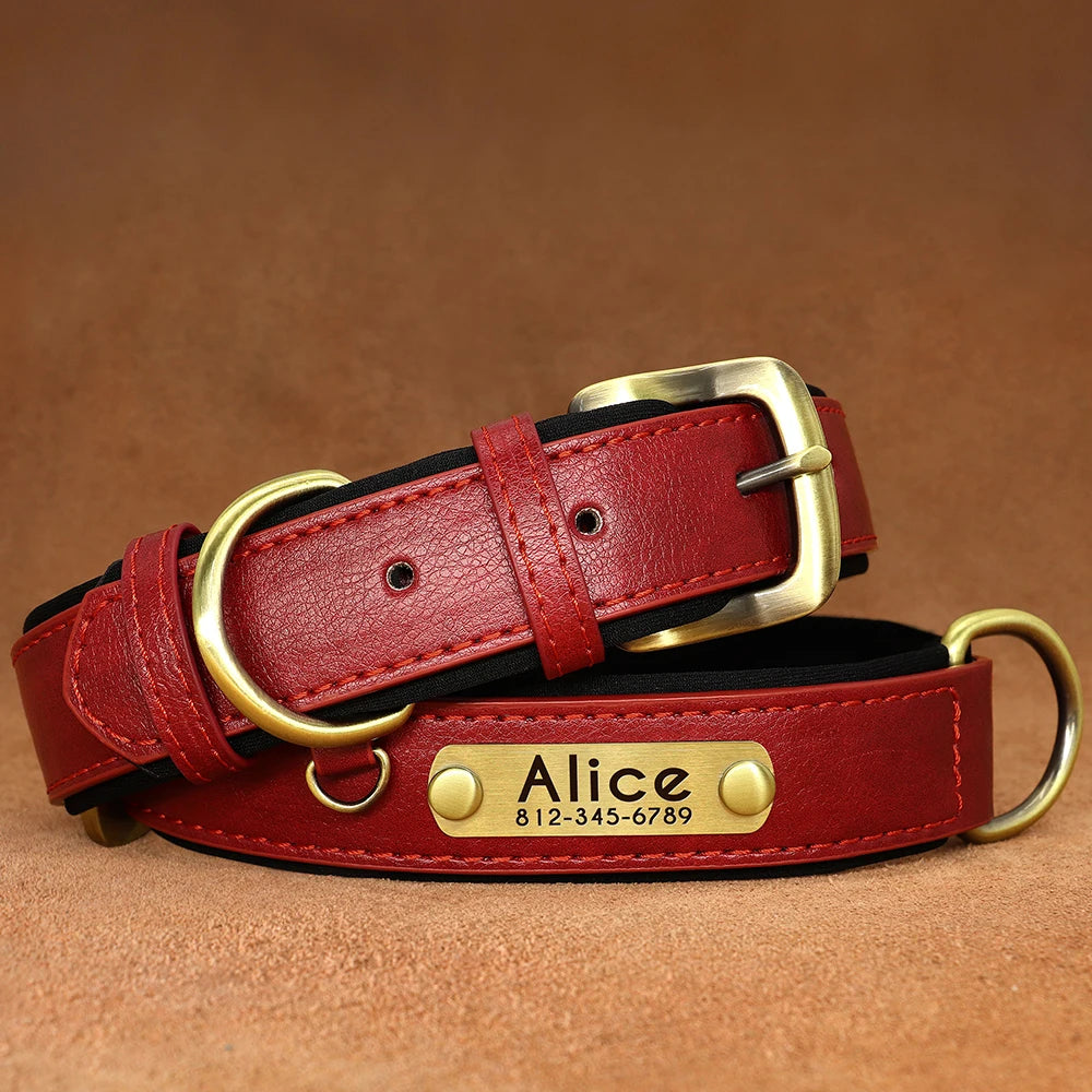 Collier Chien Cuir Végan Rembourré - Doux, Réglable & Toutes Tailles