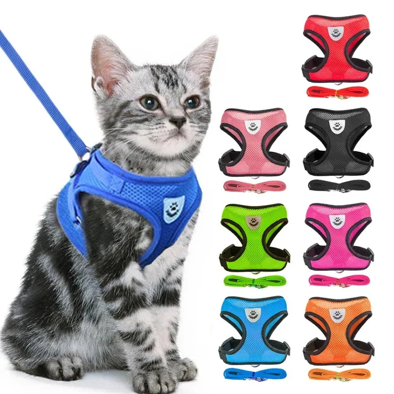 Harnais Gilet & Laisse Chien Chat Maille Polyester – Réglable Toutes Tailles