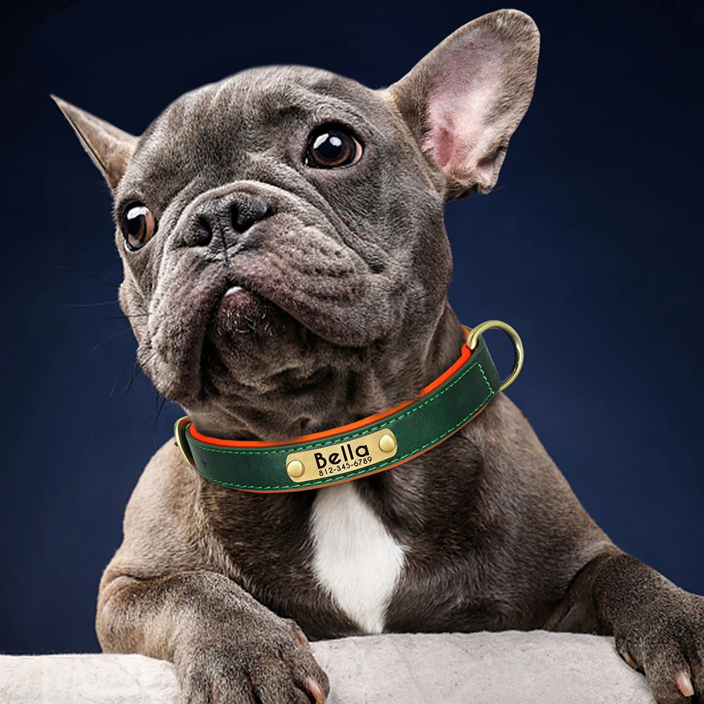 Collier Chien Cuir Végan Rembourré - Doux, Réglable & Toutes Tailles