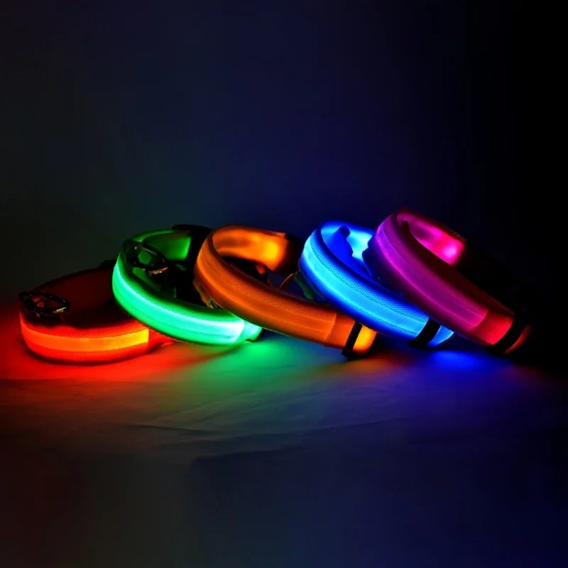 Collier & Laisse Chien LED Lumineux Nylon - Clignotant & Phosphorescent Toutes Tailles
