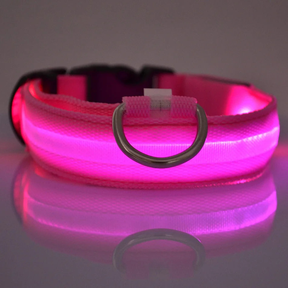 Collier & Laisse Chien LED Lumineux Nylon - Clignotant & Phosphorescent Toutes Tailles