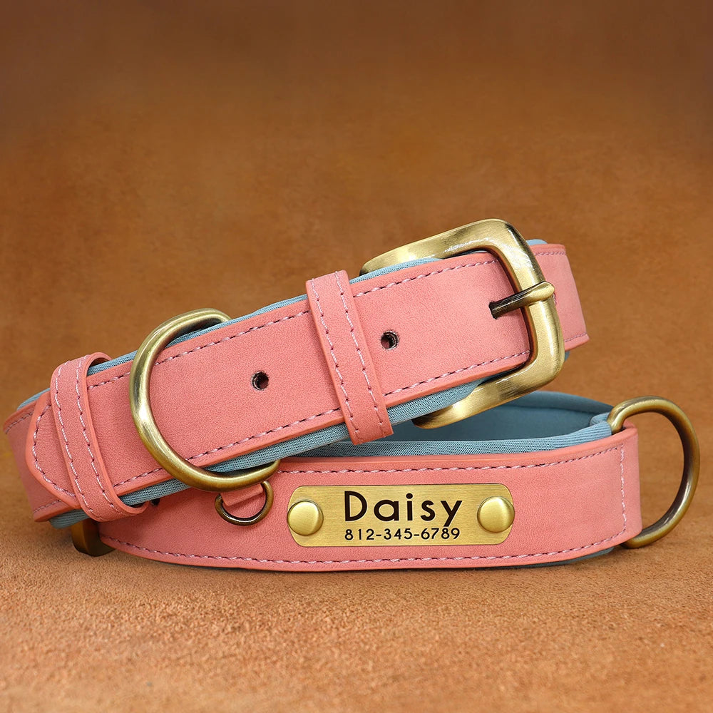 Collier Chien Cuir Végan Rembourré - Doux, Réglable & Toutes Tailles