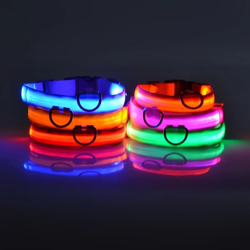 Collier & Laisse Chien LED Lumineux Nylon - Clignotant & Phosphorescent Toutes Tailles