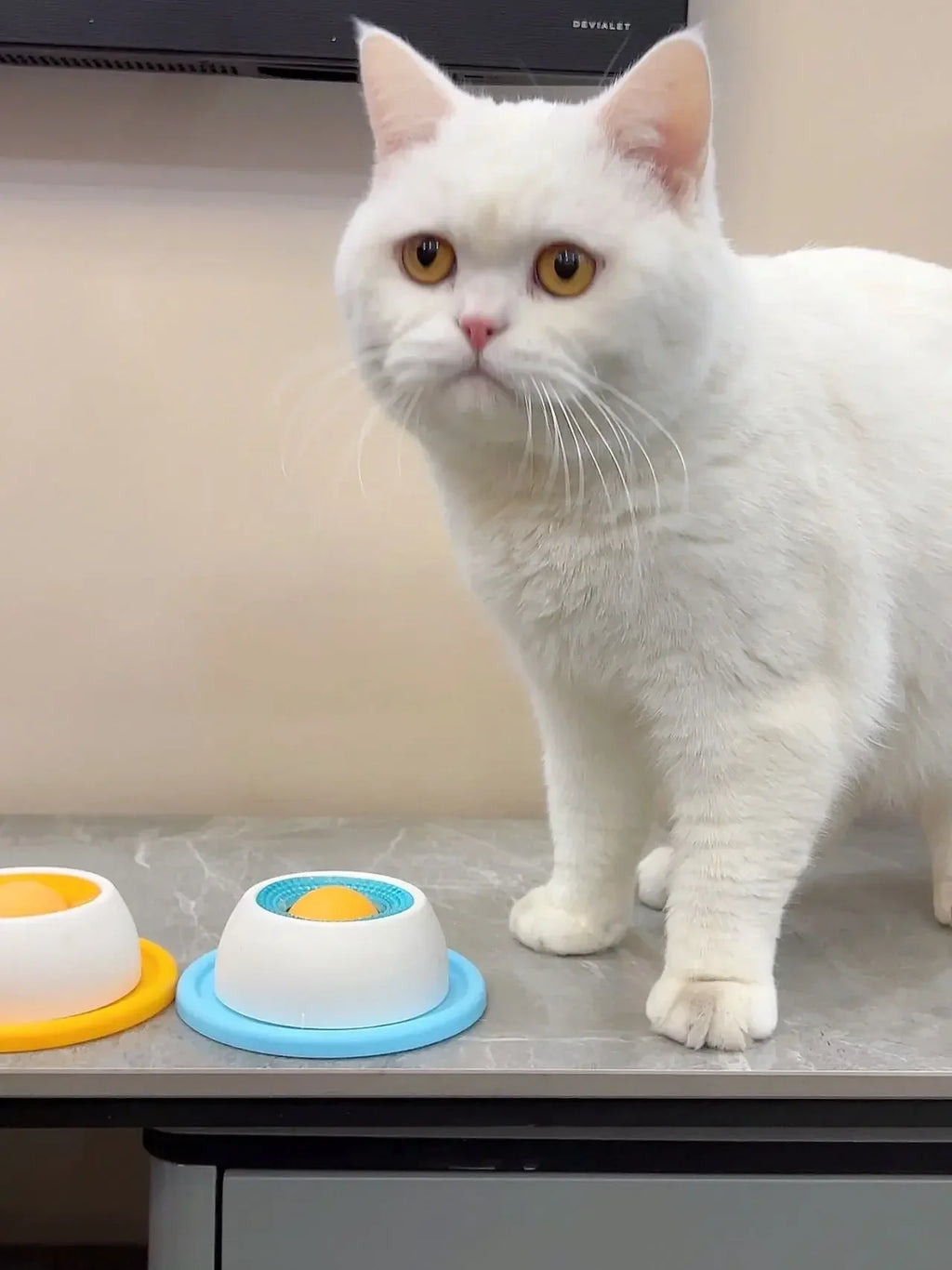Jouet à Lécher Chien Chat - Distributeur Alimentation Lente & Enrichissement Interactif