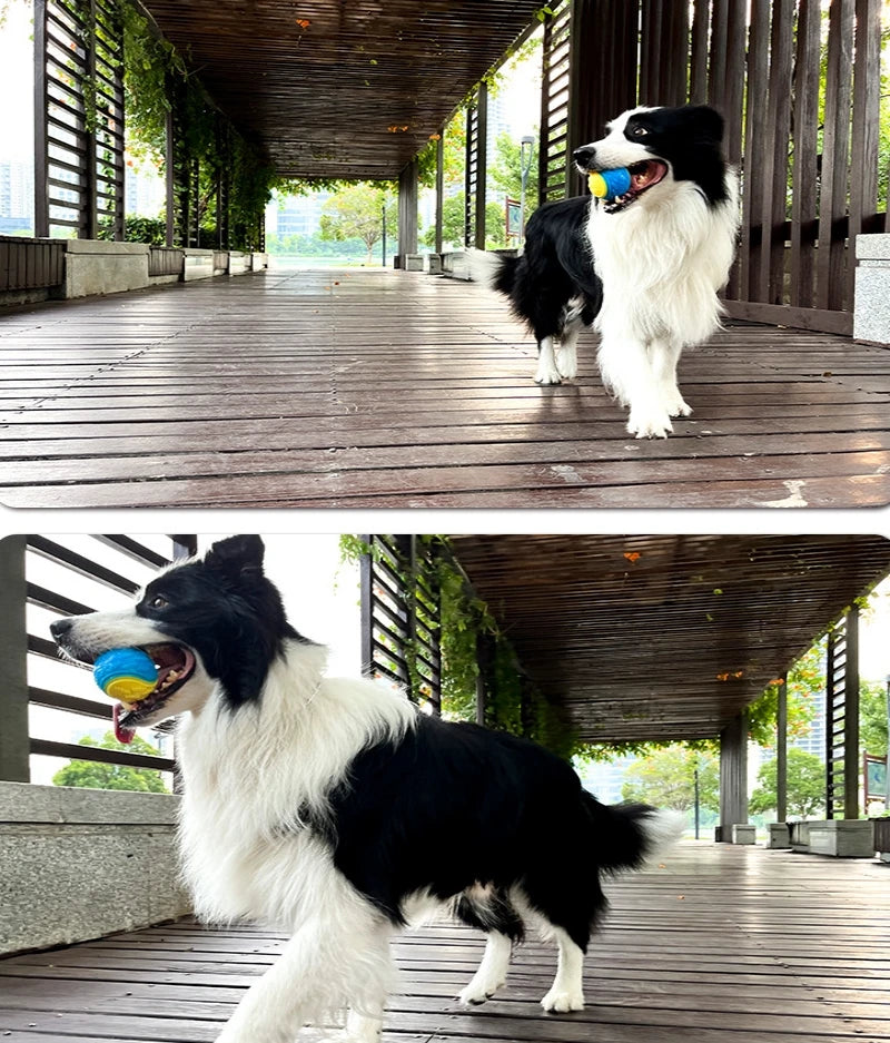 Jouet Interactif Chien Balle Grinçante TPR - Nettoyage Dentaire & Résistance aux Morsures