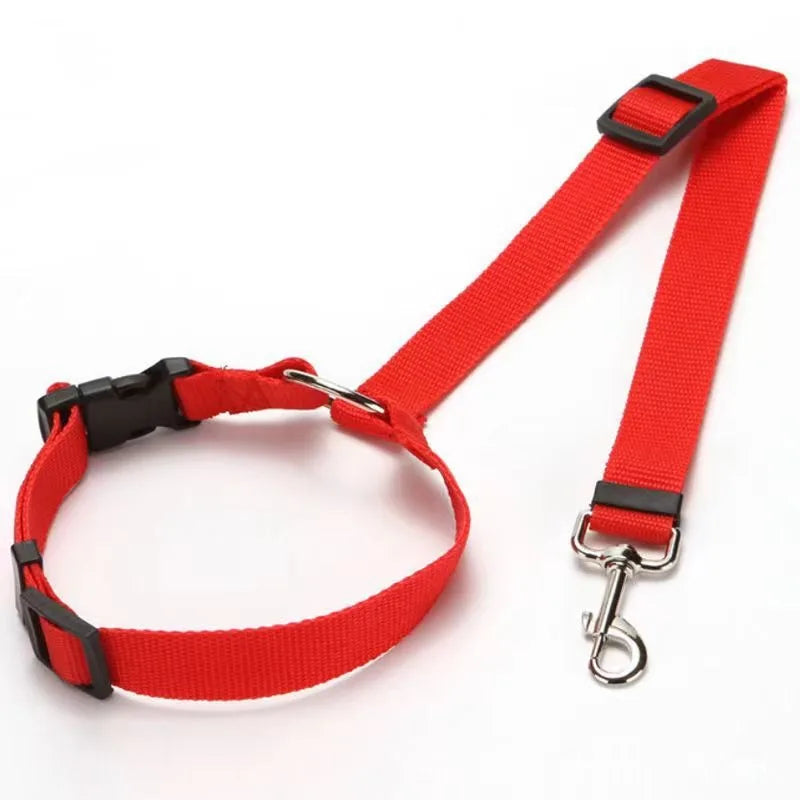 Ceinture Sécurité Voiture Chien 2-en-1 - Laisse Nylon Réglable Harnais & Collier Siège Arrière