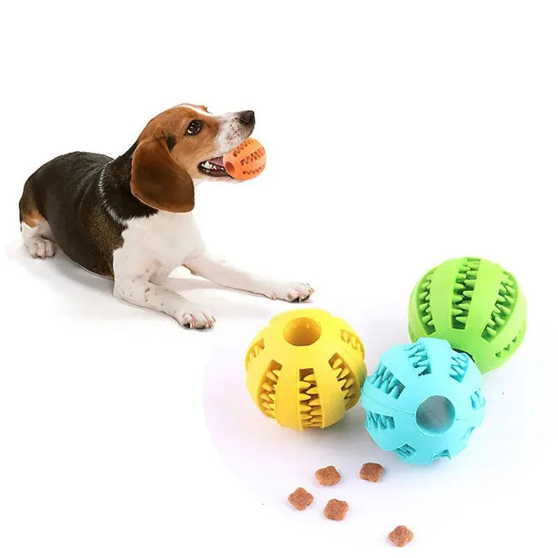 Balle Jouet Chien - Non Toxique, Résistante aux Morsures, Distributeur de Friandises & Nettoyage Dentaire