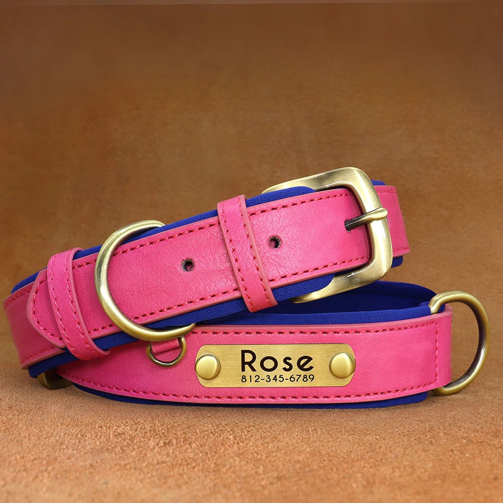Collier Chien Cuir Végan Rembourré - Doux, Réglable & Toutes Tailles