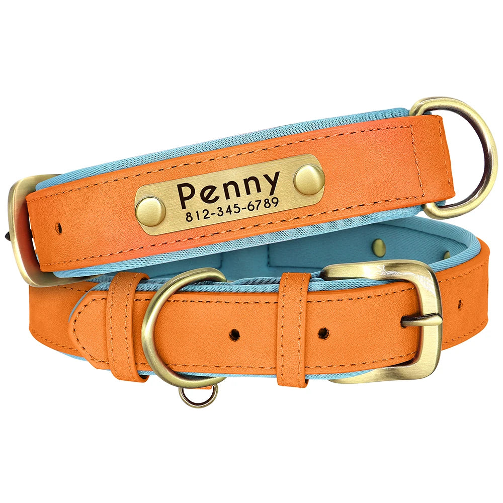 Collier Chien Cuir Végan Rembourré - Doux, Réglable & Toutes Tailles
