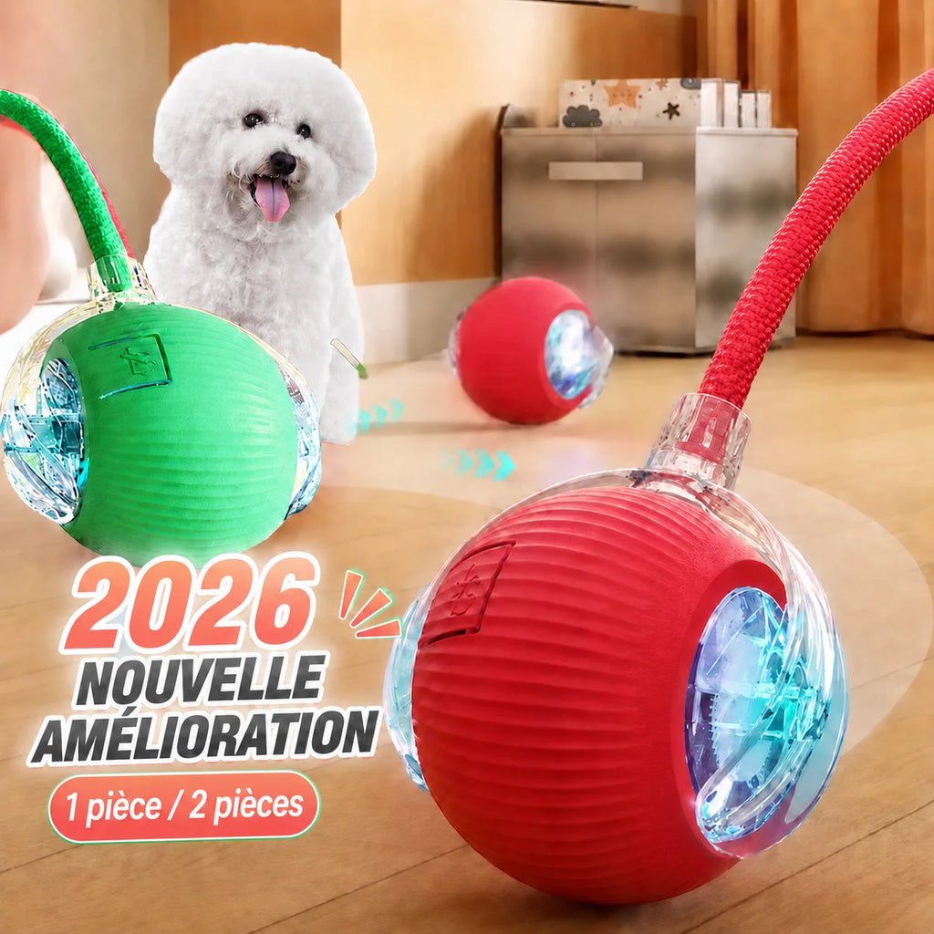 Balle Interactive Automatique Rechargeable pour Chien - Jouet Intelligent Chiot & Chien Actif