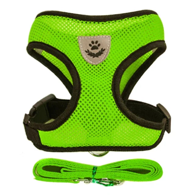 Harnais gilet laisse chien chat maille polyester - vue détail boucle et laisse - Pelorie