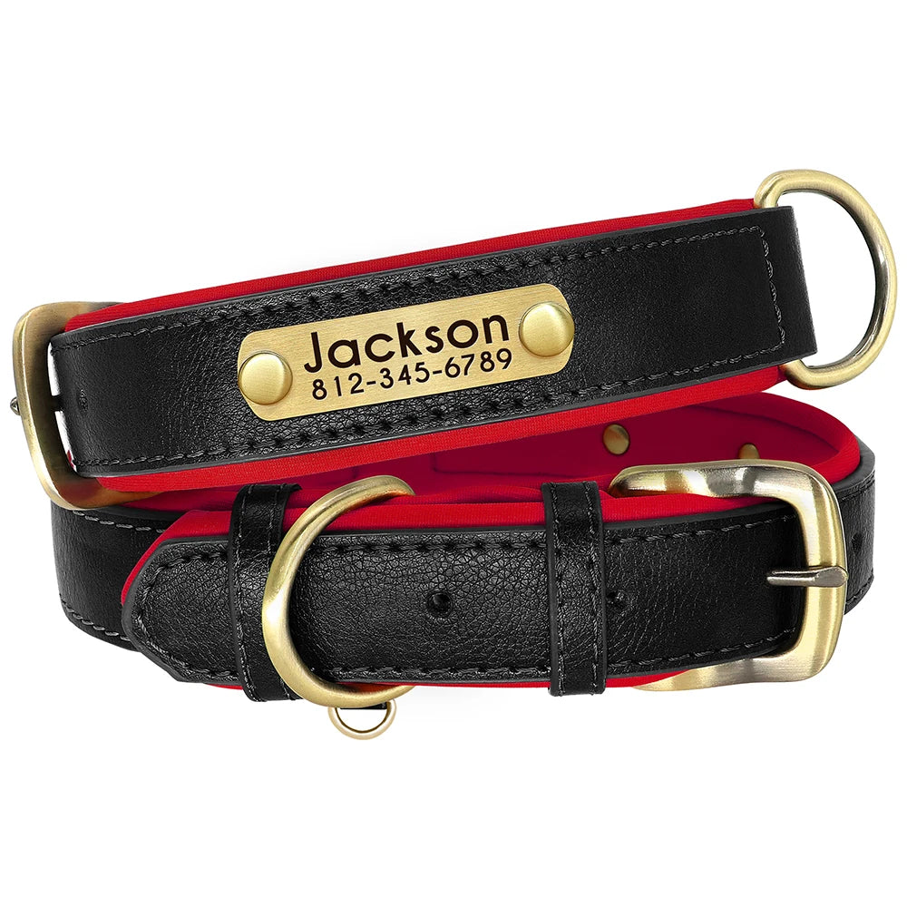 Collier Chien Cuir Végan Rembourré - Doux, Réglable & Toutes Tailles