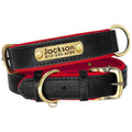 Collier Chien Cuir Végan Rembourré - Doux, Réglable & Toutes Tailles