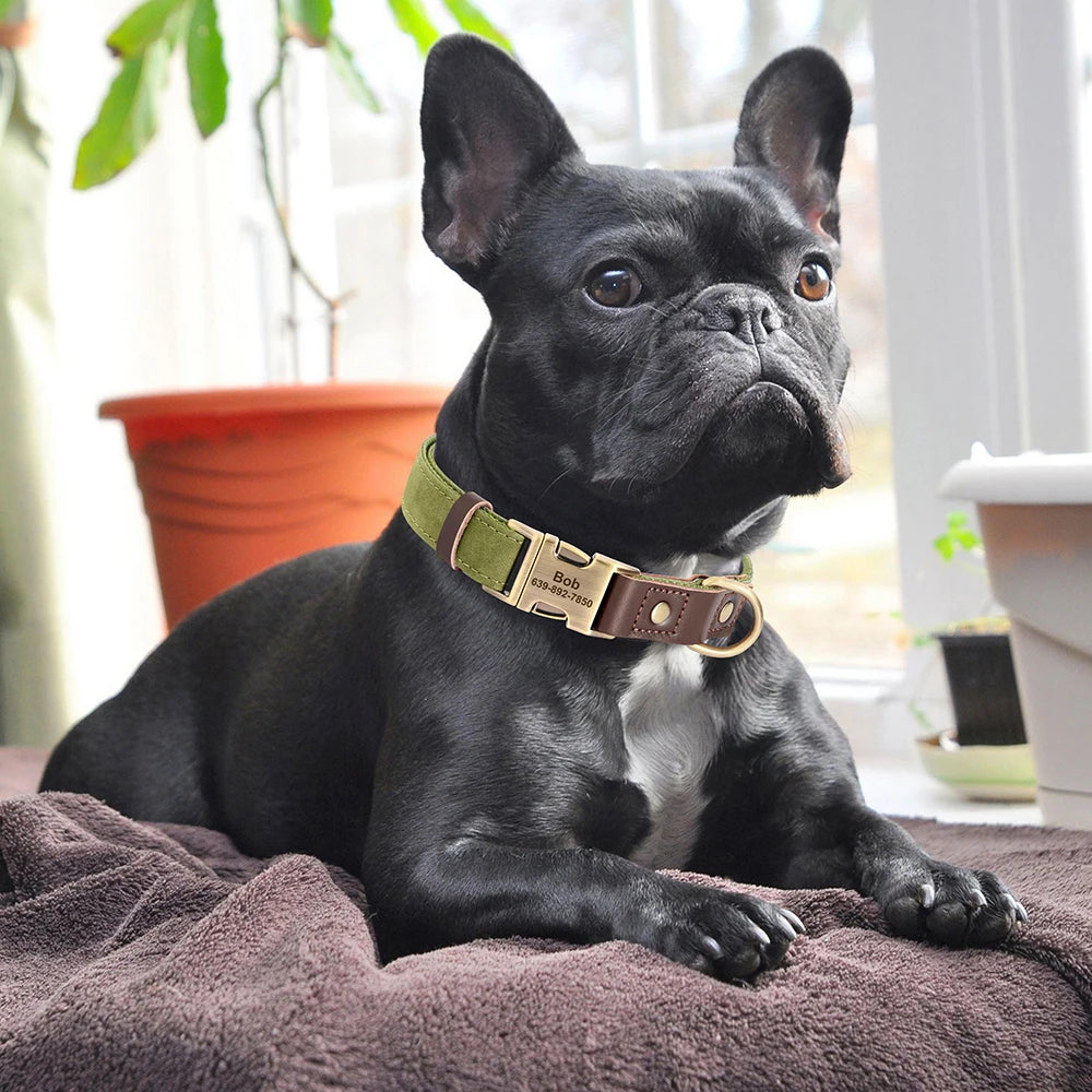 Collier Chien Personnalisable Gravé en Cuir Vegan - Réglable S/M/L Toutes Races