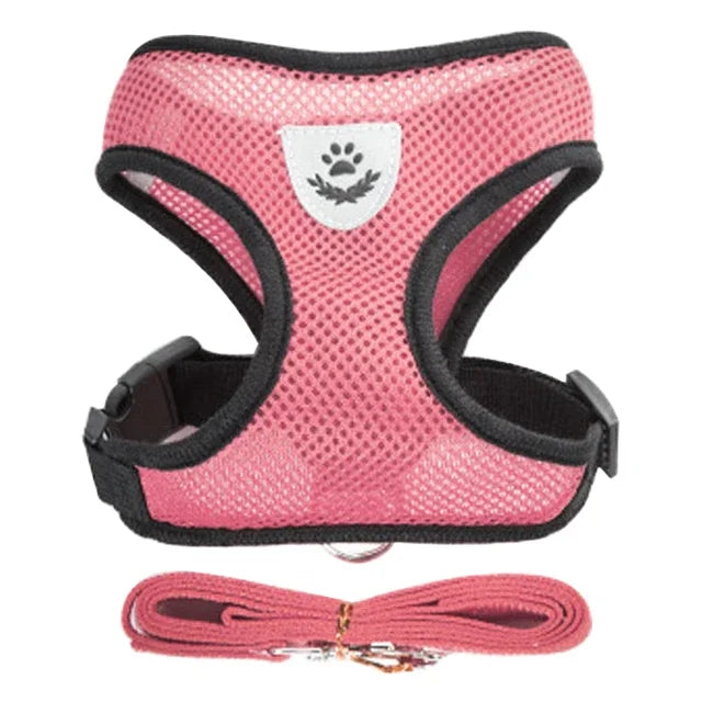 Harnais gilet laisse chien chat maille polyester violet - réglable léger - Pelorie
