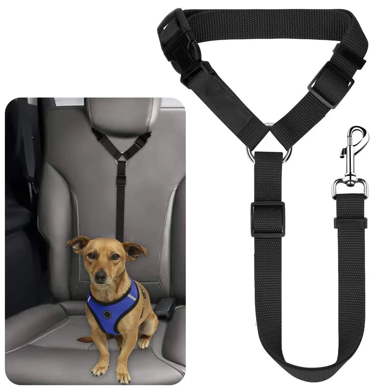 Ceinture Sécurité Voiture Chien 2-en-1 - Laisse Nylon Réglable Harnais & Collier Siège Arrière