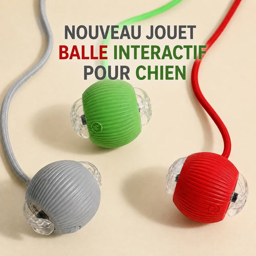 Balles interactives Pelorie rechargeables en silicone vert, rouge et gris avec cordons pour stimuler les chiens