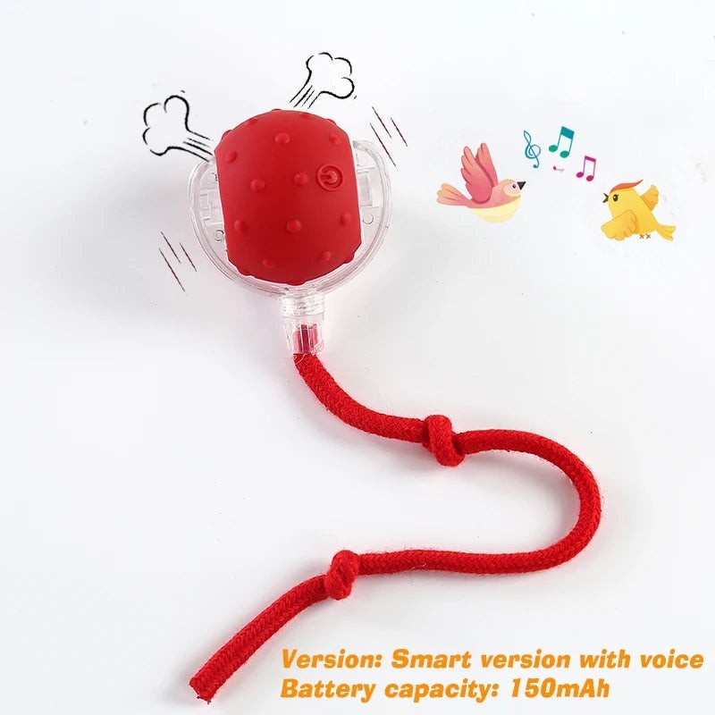 Balle interactive Pelorie rouge avec texture à picots et cordon, jouet automatique rechargeable pour chien