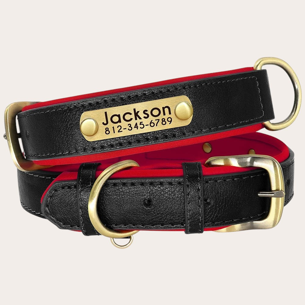 Collier pour chien Pelorie en cuir végan noir avec intérieur rouge, rembourré et plaque d'identification personnalisée