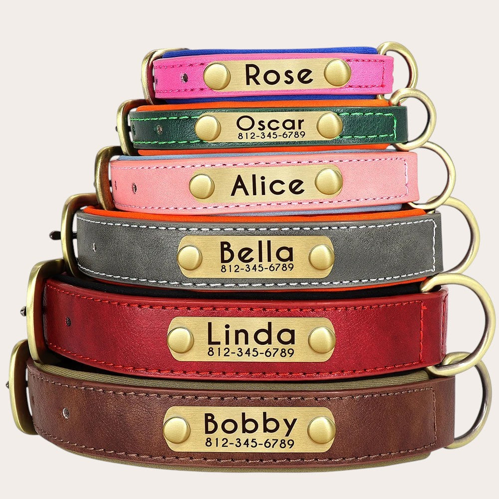 Colliers Pelorie en cuir végan rembourré de différentes couleurs avec plaques d'identification personnalisées
