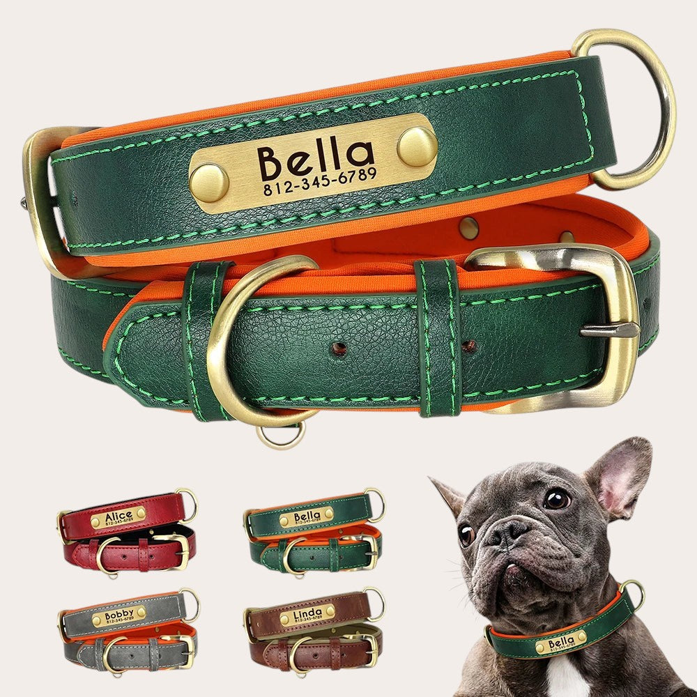 Collier pour chien Pelorie en cuir végan vert et orange avec plaque d'identification personnalisée et boucle en laiton