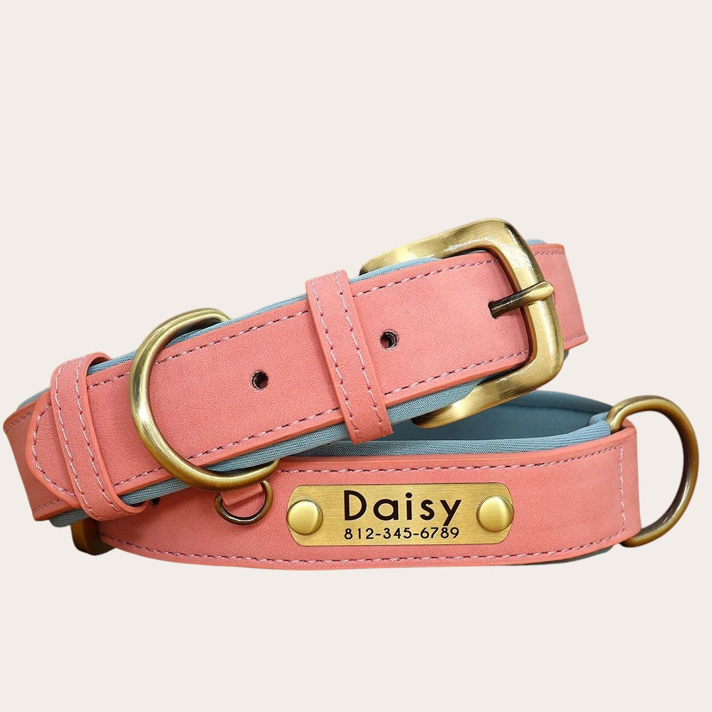 Collier pour chien Pelorie en cuir végan rose avec intérieur bleu rembourré, boucle en laiton et plaque personnalisée