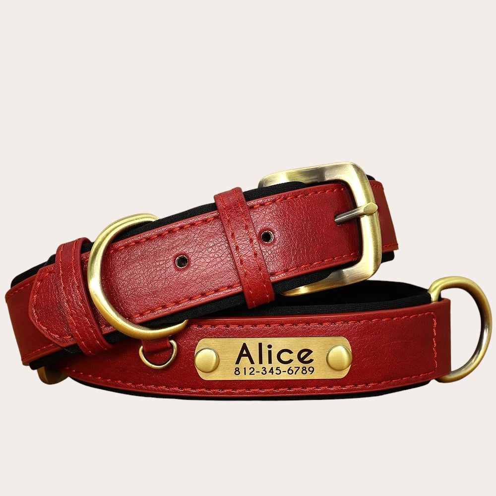 Collier pour chien Pelorie en cuir végan rouge avec rembourrage noir, boucle dorée et plaque d'identification gravée