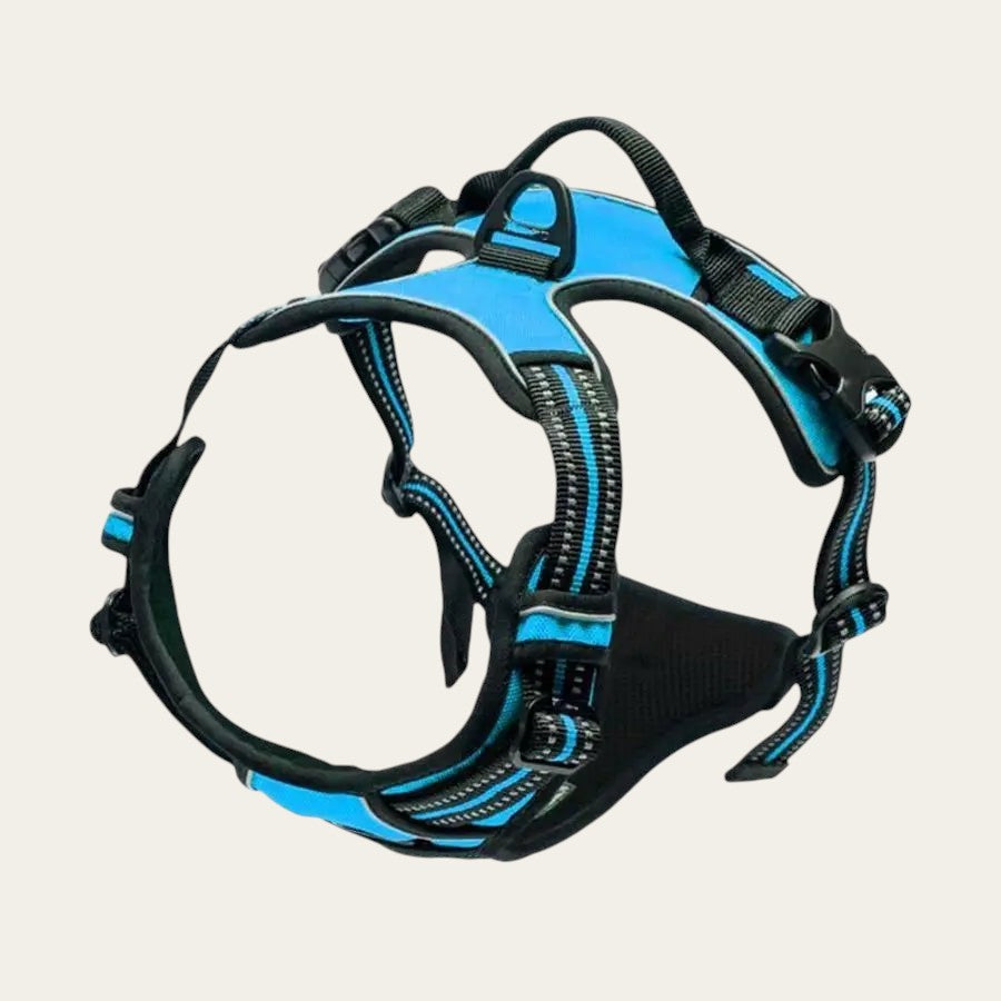 Harnais Pelorie bleu pour chien avec bandes réfléchissantes, clip frontal anti-traction et rembourrage confortable