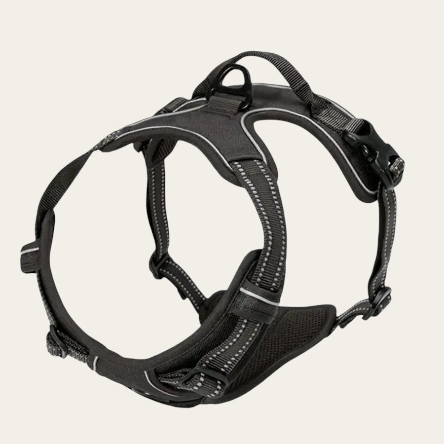 Harnais anti-traction Pelorie noir en nylon avec bandes réfléchissantes et double point d'attache pour chien
