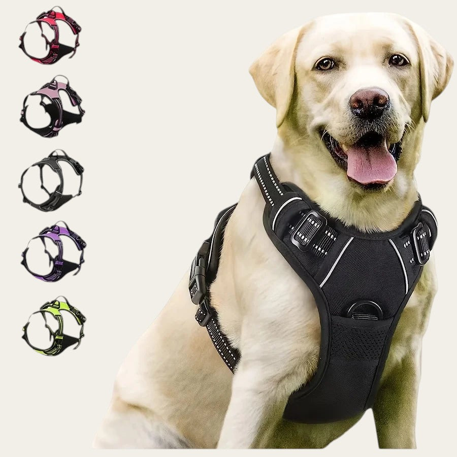 Harnais Pelorie anti-traction noir pour chien avec bandes réfléchissantes et clip frontal sur un labrador beige
