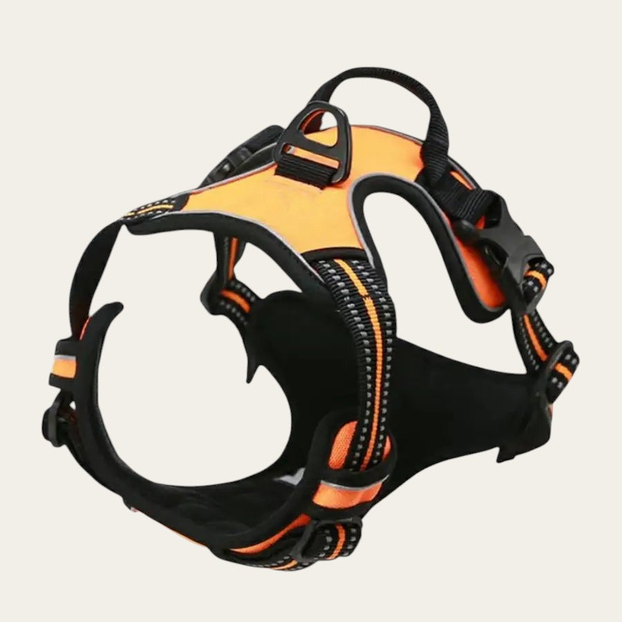 Harnais anti-traction Pelorie orange et noir avec bandes réfléchissantes et clip frontal pour chien