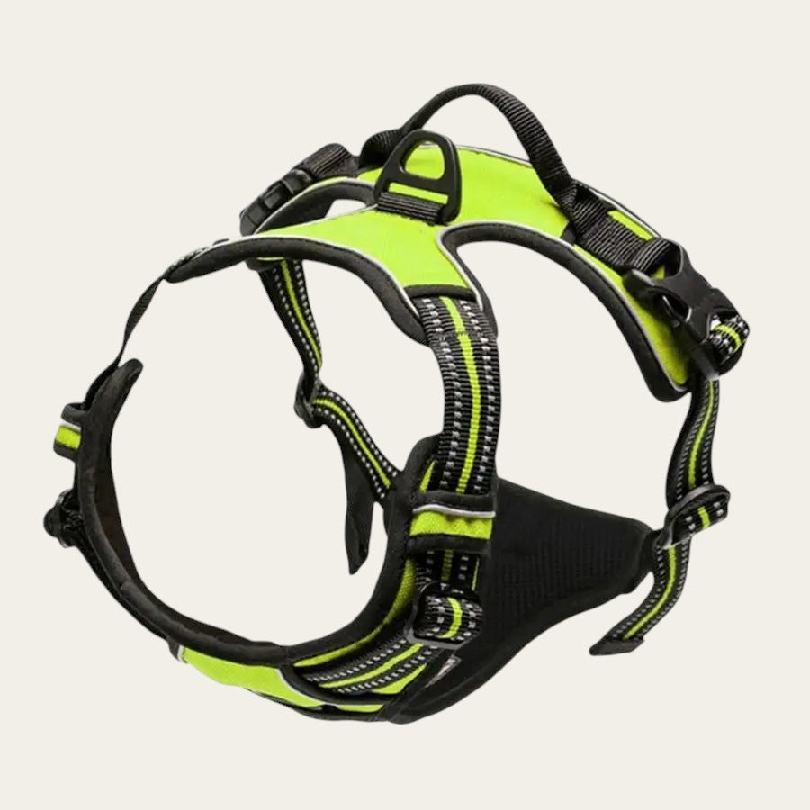 Harnais anti-traction Pelorie jaune fluo avec bandes réfléchissantes, clip frontal et rembourrage confortable