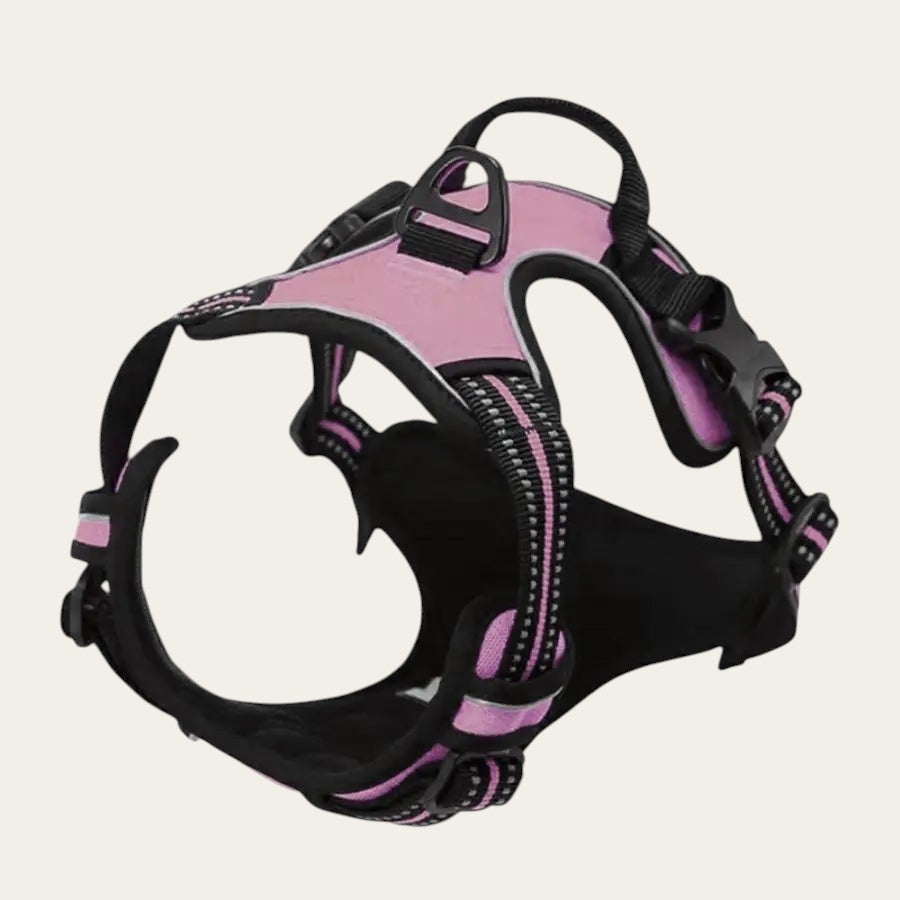 Harnais anti-traction Pelorie rose et noir en nylon avec bandes réfléchissantes et clip frontal pour chien