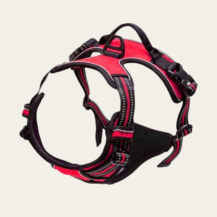 Harnais anti-traction Pelorie rouge pour chien avec bandes réfléchissantes et clip frontal en nylon renforcé