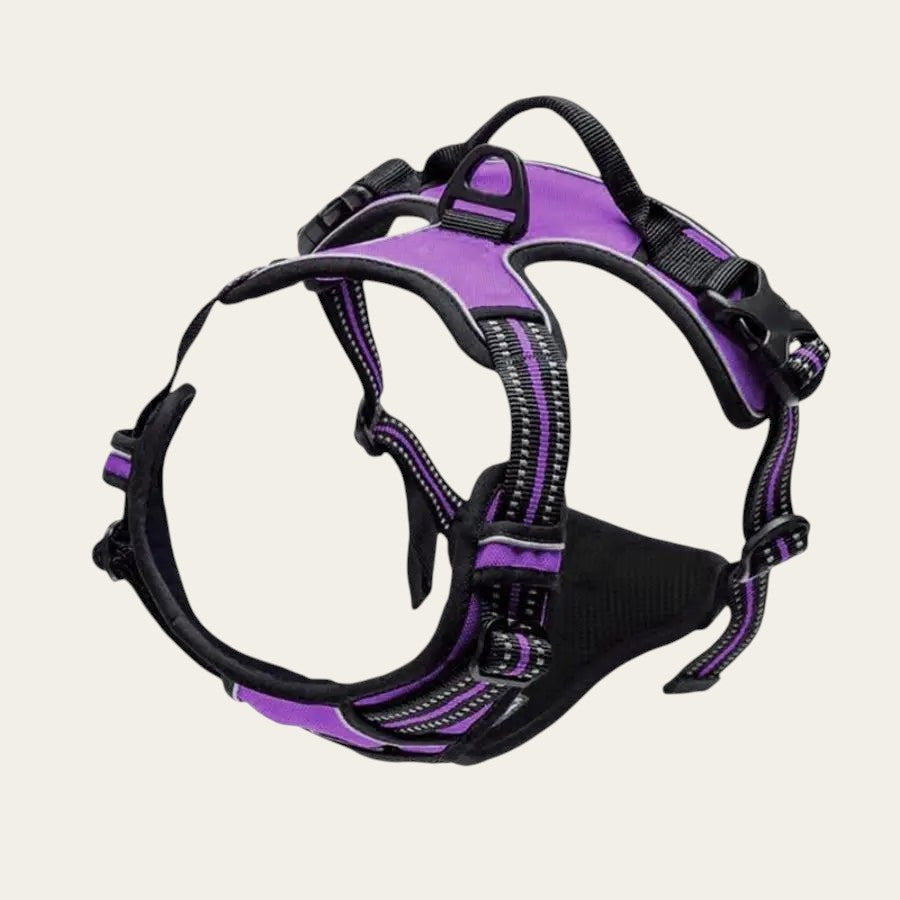 Harnais anti-traction Pelorie violet en nylon avec bandes réfléchissantes et double point d'attache pour chien