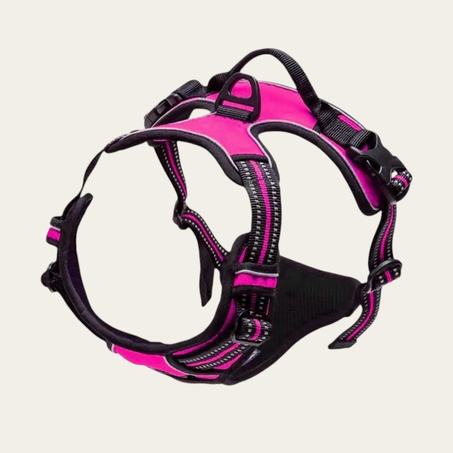 Harnais anti-traction Pelorie rose pour chien en nylon avec bandes réfléchissantes et double point d'attache