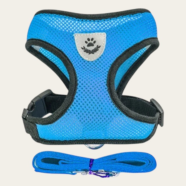 Ensemble Pelorie harnais et laisse bleu en maille respirante pour chien et chat avec écusson réfléchissant
